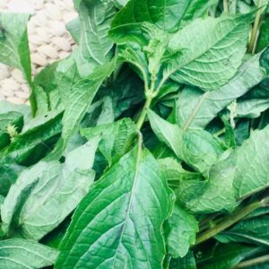 Scent leaf 200grm
