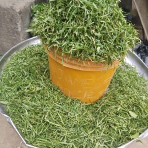 Ukazi / Afang leaf custard bucket