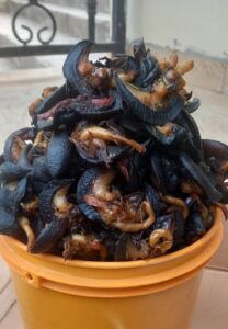 Oven dried snails