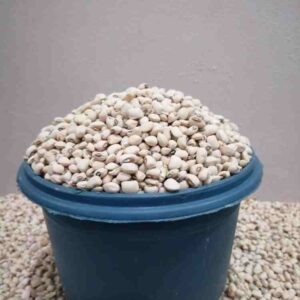 Potasco beans custard paint
