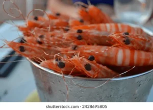 Oron prawns custard paint