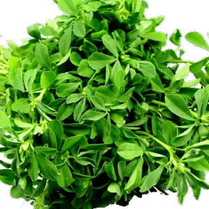 Water leaf 144grm
